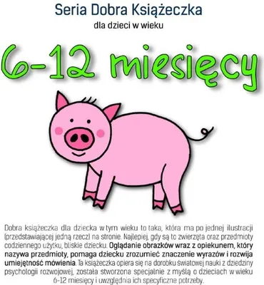 Image de Książeczka edukacyjna dla dzieci 6-12 miesięcy