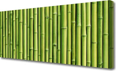 Produktbild von Tulup Leinwand-Bilder 125x50 Wandbild Canvas Kunstdruck Bambusrohre Pflanzen