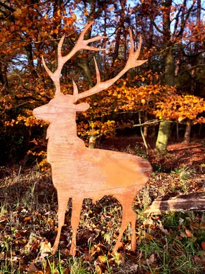 Produktbild von Edelrost Hirsch Gartenstecker 115 x 60 cm