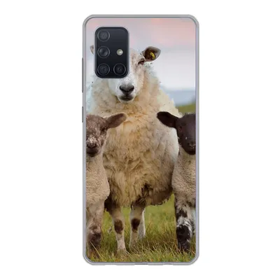 Produktbild von MuchoWow® Handyhülle Schutzhülle Hülle für Samsung Galaxy A51 Schafe - Natur - Schwarz - Weiß Silikon Softcase Handy Hülle - Schutzabdeckung