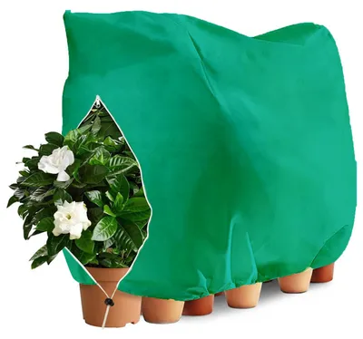 Productafbeelding van Overwinteringszeil, 250 x 360 cm, ademend en waterdicht