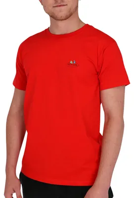 Produktbild von Fruit of the Loom Valueweight T mit Vintage-Logo Farbe: Rot (rot 40) Größe: S