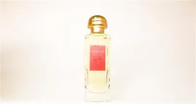 Produktbild von Hermès Amazone Eau de Toilette Spray 100 ml