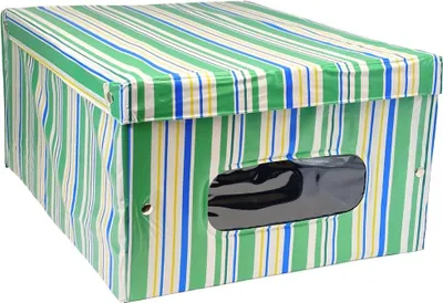 Obrázek produktu pro Domopak Box úložný s víkem, proužky