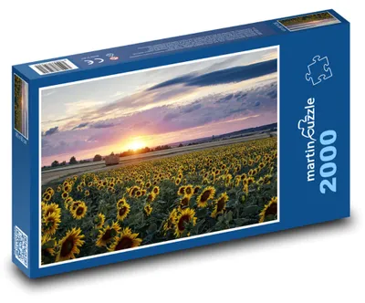 Obrázok produktu pre martinpuzzle – Puzzle 2000 – Západ slnka – slnecnice