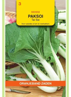 Image de Oranjeband Taisai ou Chou Pak-choi japonais - 1 paquet de graines