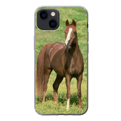 Produktbild von MuchoWow® Handyhülle Schutzhülle Hülle für iPhone 13 Pferde - Gras - Braun Silikon Softcase Handy Hülle - Karteninhaber