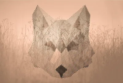 Produktbild von Tadessi Fototapete | Tiere | 4.00 m x 2.70 m | Braun | Beige | Wandbild | Digitaldruck