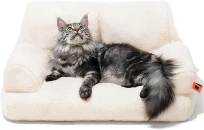 Produktbild von Famanu Katzenbett und kleine Hundebank – Weiches Plüsch Katzenbett, Größe 66 x 48 cm, für große Katzen und Kätzchen
