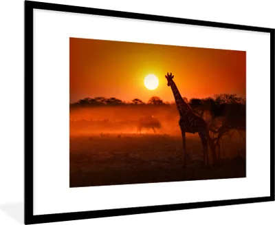 Produktbild von MuchoWow® MuchoWow® Gerahmtes Poster Giraffe - Sonne - Savanne 90x60 cm - Poster mit zchwarzem Bilderrahmen - Wanddekoration - Fotos