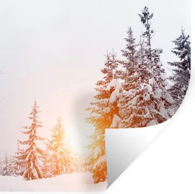 Produktbild von MuchoWow® Wandtattoo Wandsticker Wandaufkleber Sonne - Bäume - Schnee 30x30 cm Selbstklebend und Repositionierbar - Repositionierbar - Wasser abweisend