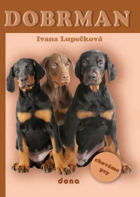 Immagine prodotto di Dobrman - chováme psy (Lupečková Ivana)