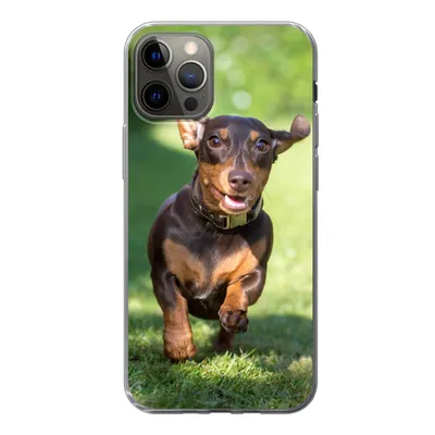 Produktbild von MuchoWow® Handyhülle Schutzhülle Hülle für iPhone 13 Pro Ein sprintender Dackel Silikon Softcase Handy Hülle - Handy-Tasche