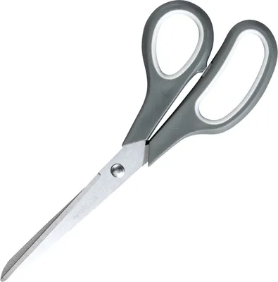 Produktbild von NIROSTA Universalschere 22cm grün/grau K