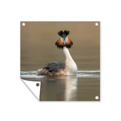 Obrázok produktu pre MuchoWow® Vonkajší plagát - Záhradná dekorácia ochrana súkromia - Záhradné plagáty pre záhradu - Grebe - Vták - Voda - 50x50x0.2cm