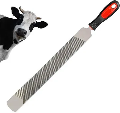 Productafbeelding van Dailygoods- Hoefraspel 200 mm Dubbelzijdig - Hoefsmid Gereedschap - Koolstofstaal - Antropomorfe Greep - Slijtvast - Voor Paarden, Schapen en Runderen - Hoefvijl