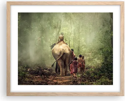Produktbild von Gerahmtes Poster - Rahmen in heller Eiche - Elefant Dschungel Nebel - 50x40 cm - Wand Bild - Wanddeko - Wandbilder - Wandposter - Bilderrahmen - Bilder - Kunstdruck - Wandbild - P2NAA50x40-3438