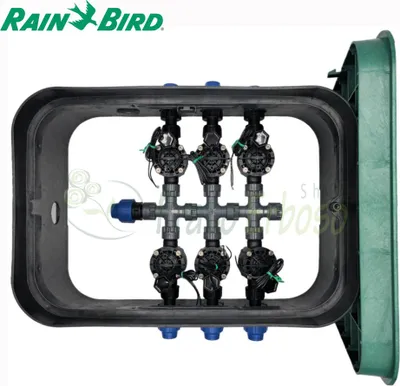 Immagine prodotto di PA-HV-6 - Pozzetto assemblato da 1" 6 zone con componentistica Rain Bird