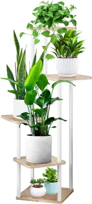 Image de Étagère à plantes en bois à 5 niveaux, hauteur de 106 cm