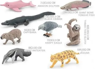 Zdjęcie produktu dla Zestaw zwierząt ameryki południowej