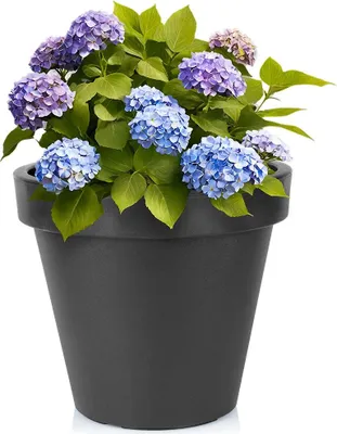 Immagine prodotto di Prodotti da giardino