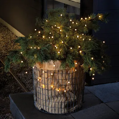 Produktbild von Konstsmide - LED Globelichterkette, runde Dioden, mit an/aus Schalter Lichtsensor und 6h und 9h Timer, 40 warm weiße Dioden, batteriebetrieben, Außen (IP44), schwarzes Kabel, 4 x AA 1.5V (exkl.); 3740-100