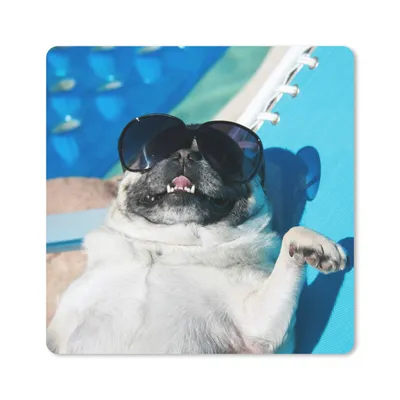 Produktbild von MuchoWow® Mauspad Mousepad Hund - Lustig - Sonnenbrille - Kinder - Jungen - Mädchen - Kind 30x30 cm - Mousepads - Maus Mat - Pad - Mausunterlage - Gaming