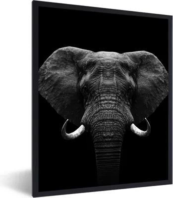 Produktbild von MuchoWow® Gerahmtes Poster Tiere - Elefant - Porträt - Schwarz - Weiß 60x80 cm - Poster mit Schwarzem Bilderrahmen Wandposter Rahmen Foto Bilder - Premium - Wanddeko Wohnzimmer