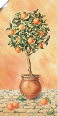 Produktbild von ARTland Poster Orangenbaum I Größe: 50x100 cm