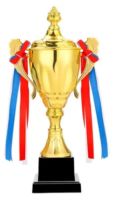 Image de Trophée doré de 30 cm pour événements sportifs