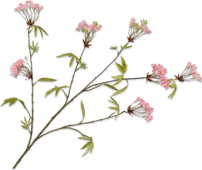 Produktbild von Silk-ka Künstliche Blumen-Seidenblumen Ahornzweig rosa 119 cm