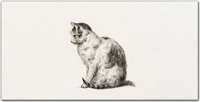 Produktbild von Coloray Bild aus Glas 140x70 Küche wanddekoration Dekoration wohnzimmer gehärtetes Glas glasblock mit bild - Haustier Katze