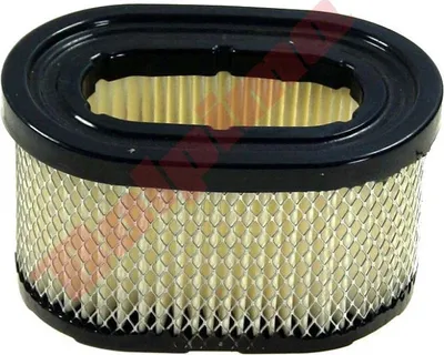 Image de Filtre à air Pour Briggs & Stratton Ohv600 ( 494586 , 497725 ) 98X67X56