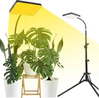 Image de Lampe de culture LED 200 W pour plantes