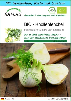 Produktbild von SAFLAX Geschenk Set - BIO - Knollenfenchel - Foeniculum vulgare var. azoricum - 100 Samen - Mit Geschenkbox, Versandaufkleber, Geschenkkarte und Anzuchtsubstrat