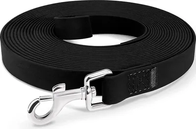 A black dog leash coiled up with a silver metal clasp.