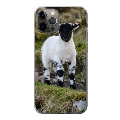 Produktbild von MuchoWow® Handyhülle Schutzhülle Hülle für iPhone 13 Pro Lamm - Schwarz - Weiß - Tupfen Silikon Softcase Handy Hülle - Handy-Tasche