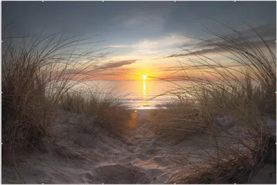 Produktbild von Wallario Wandbild Sonnenuntergang am Strand, Größe: 61 x 91,5 cm, Poster mit rahmenlosen Bildhalter