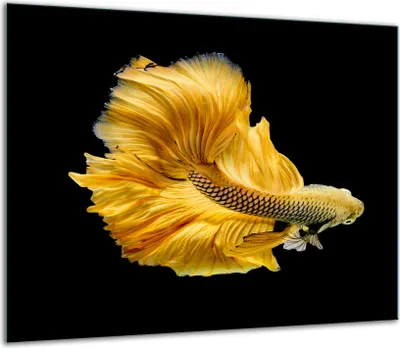 Produktbild von Herdabdeckplatten Glaskeramikkochfeld-Abdeckung Spritzschutz Glas 60x52cm Fisch