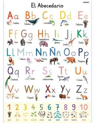 Zdjęcie produktu dla Edukacyjny plakat edukacyjny z alfabetem dla dzieci