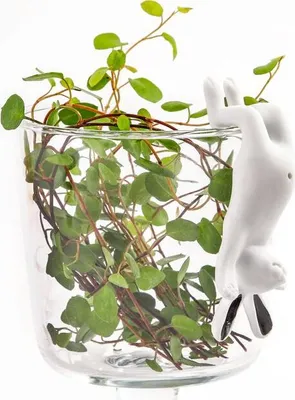 Produktbild von Porzellan Kletterhase "Schwarzohr"