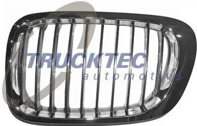Produktbild von TRUCKTEC AUTOMOTIVE 08.62.226 Kühlergrill Frontgrill für BMW 3 Coupe (E46) Links