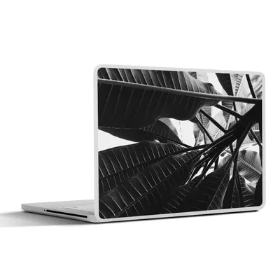 Produktbild von MuchoWow® Laptop Aufkleber Sticker Cover Palmenblatt - Tropisch 32.5x23.5 cm - Sticker für Laptop - Selbstklebend