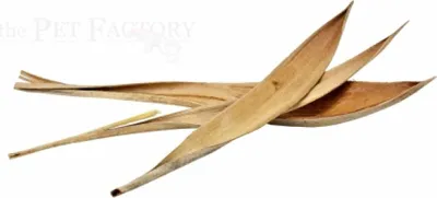 Image de Feuilles de coco, petites 10-25cm, paquet de 3