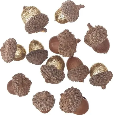 Image de Glands avec paillettes et nature 12 pcs.