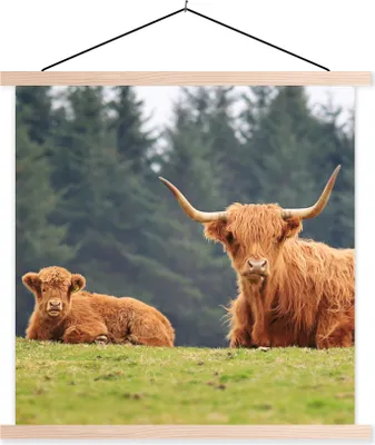 Produktbild von MuchoWow® Textilposter Schottische Hochlandrind - Gras - Wald 60x60 cm mit holzfarbenen Rahmen - Wanddekoration