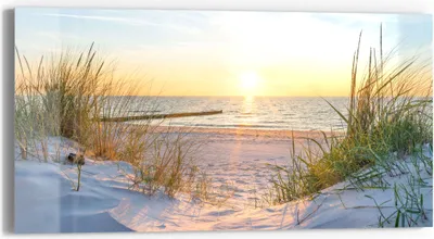 Produktbild von DEQORI Glasbild Echtglas 60x30 cm 'Abendsonne an der Ostsee' Wandbild Bild modern Deko