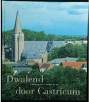Produktbild von Dwalend door Castricum