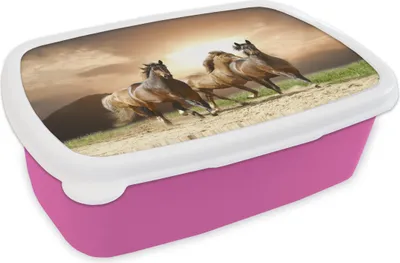 Produktbild von KitchenYeah® Lunchbox Brotzeit Brotdose 17x11 cm Pferde - Sand - Sommer Kinder Brotzeitdose - Lunchpaket - Brotkasten  - Sandwich Box