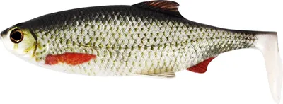Produktbild von Westin Ricky the Roach Shadtail-Köder 10 cm 14 g Echte Rotauge |P115-551-010